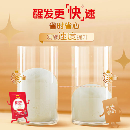金龙鱼轻松发低糖高活性干酵母5G*10 商品图2