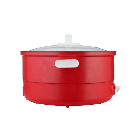 伊莱克斯 电火锅 EGHP-5010 商品图4