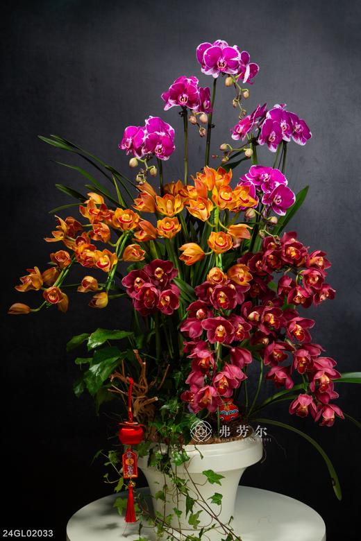 24GL02033 商品图0