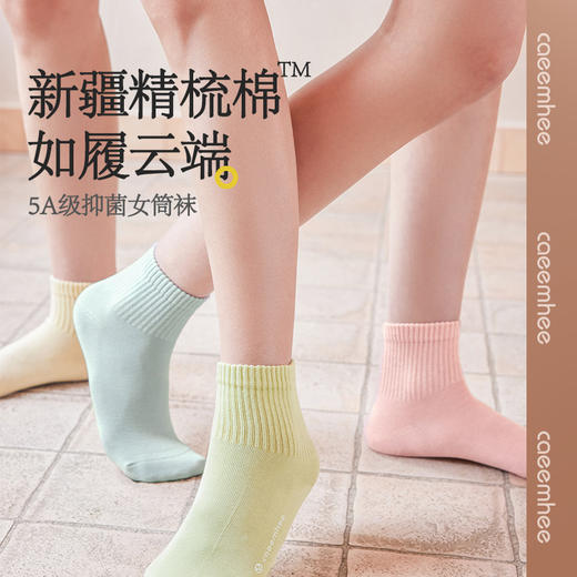 卡益棉袜KS6011&KS6022，短款更短 商品图0