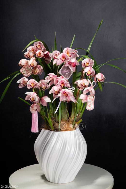 24GL03034 商品图0