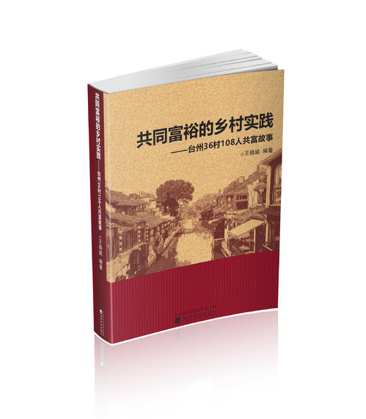共同富裕的乡村实践-台州36村108人共富故事 商品图0