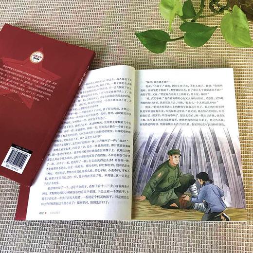 小游击队员 (红色经典阅读书系 一年级二年级三四五年级六年级 儿童文学课外阅读)(王愿坚) 商品图3