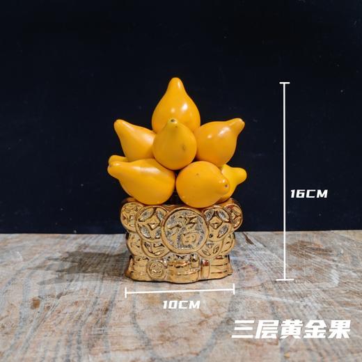 五代果五代同堂五代果含花盆 商品图1