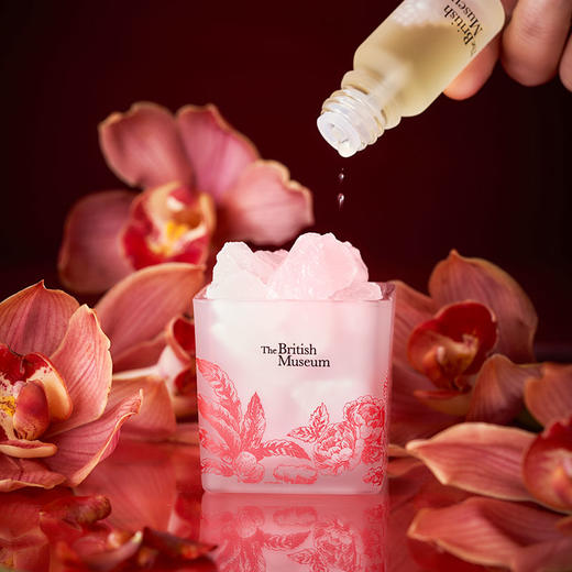 大英博物馆东方梦境系列 灵羽芳地香氛晶石散香套装礼盒  薄雾茶林 商品图2