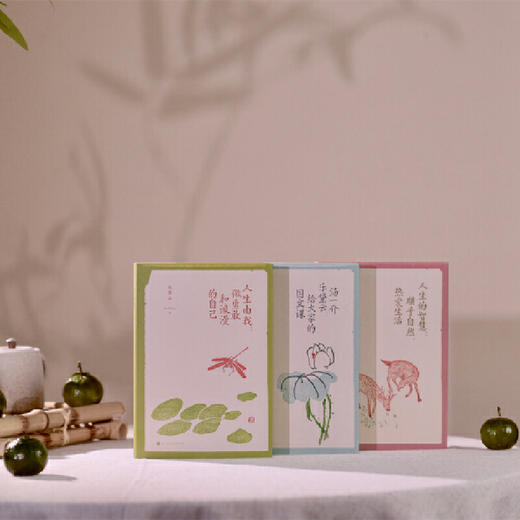 人生由我：做勇敢和浪漫的自己(乐黛云) 商品图3