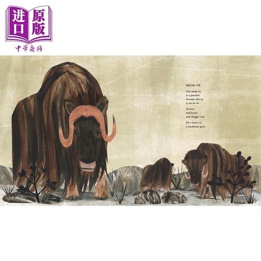 【中商原版】极地动物 At the Poles 英文原版 儿童科普绘本 知识百科图画书 精装精品绘本 进口图书 4-7岁 自然科学儿童读物 商品图3