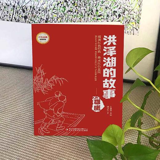洪泽湖的故事--雄鹰 (红色经典阅读书系 一年级二年级三四五年级六年级 儿童文学课外阅读)(陈登科) 商品图1