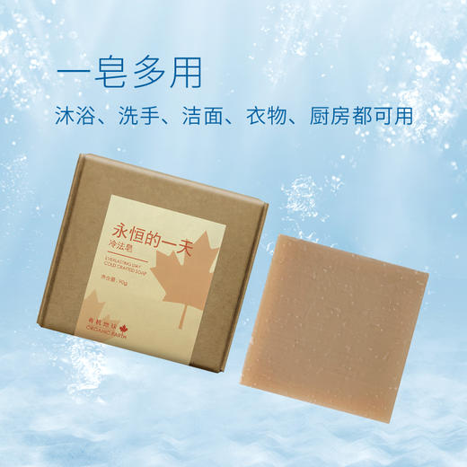 有机地球永恒的一天皂柑橘属精油皂 商品图1