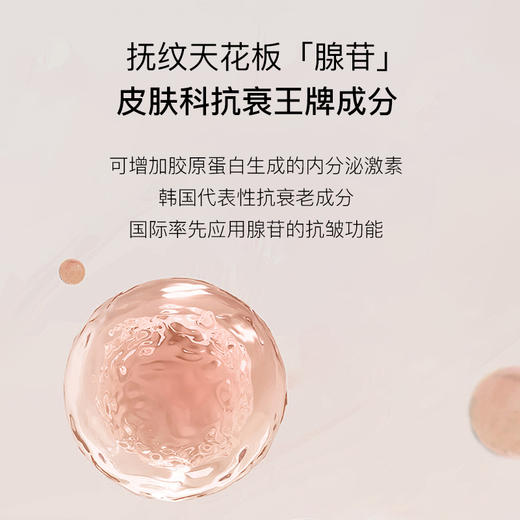 【重磅新品】韩国懒人面膜*紧致嫩肤、补水润养 商品图5