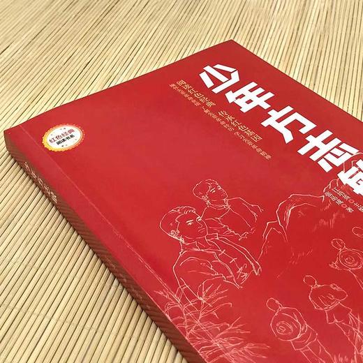 淮河边上的儿女 （红色经典阅读书系 一年级二年级三四五年级六年级 儿童文学课外阅读）(陈登科) 商品图2