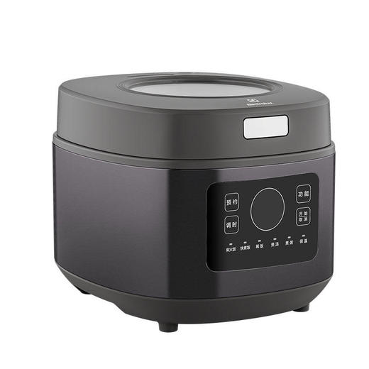 伊莱克斯 微电脑电饭煲 EGRC-6110 商品图2