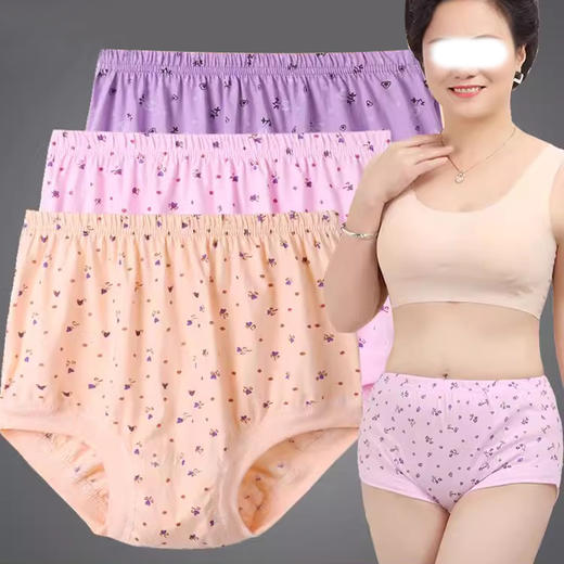 裁缝学苑AS186中老年内裤女高腰大码三角内裤老奶奶裤头版型图纸打板 商品图2
