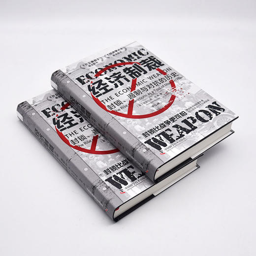 经济制裁 封锁、遏制与对抗的历史 商品图0