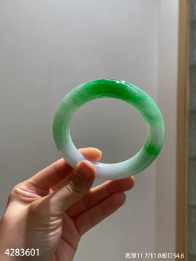 艳绿手镯【4283601】圈口54.6~具体价格微信咨询