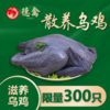 洛杉奇/德禽牌 生态散养乌鸡（≥600克/只/150天 ）包邮到家 商品缩略图1