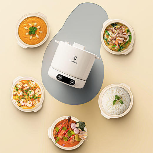伊莱克斯 多功能电饭煲 EGRC-6120 商品图2