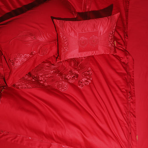 多喜爱 喜玫瑰婚庆床上用品八件套 祥瑞纳福（红）cs 商品图4
