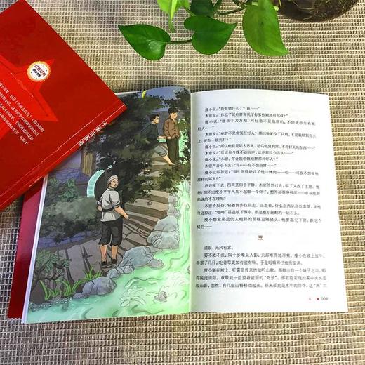 赤色小子 (红色经典阅读书系 一年级二年级三四五年级六年级 儿童文学课外阅读）(张品成) 商品图3