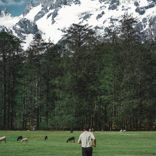 美宿 | 漫慢时光·云南7天6晚 商品图4