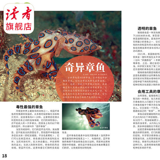 10岁~12岁 |《快乐科学·少年版》2024年杂志订阅 趣味少儿科普 已更新至十二月刊 商品图4