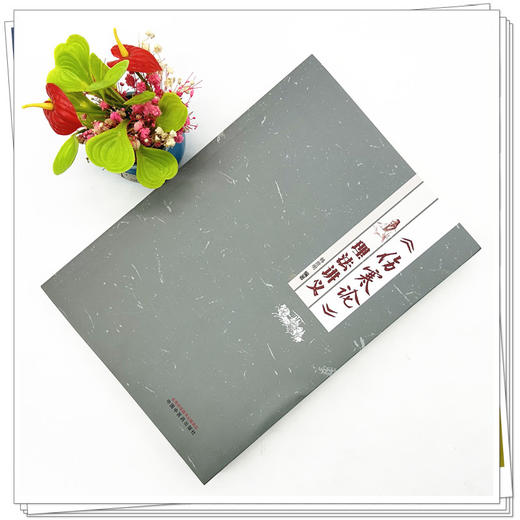 《伤寒论》理法讲义 韩世明 编著 中国中医药出版社 中医临床 书籍 商品图1