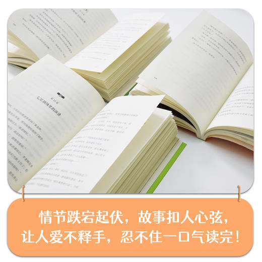 猫头鹰绝密行动+奇怪的转校生+女孩和流浪猫 方刚儿童心理成长3本 商品图3