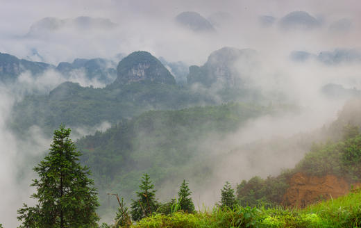 【广西】武阳江•剑江•水上相思林•怀群天门山3天摄影 商品图5