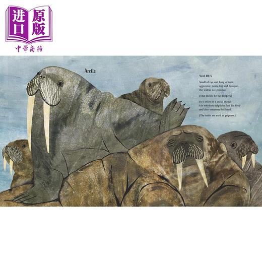 【中商原版】极地动物 At the Poles 英文原版 儿童科普绘本 知识百科图画书 精装精品绘本 进口图书 4-7岁 自然科学儿童读物 商品图2