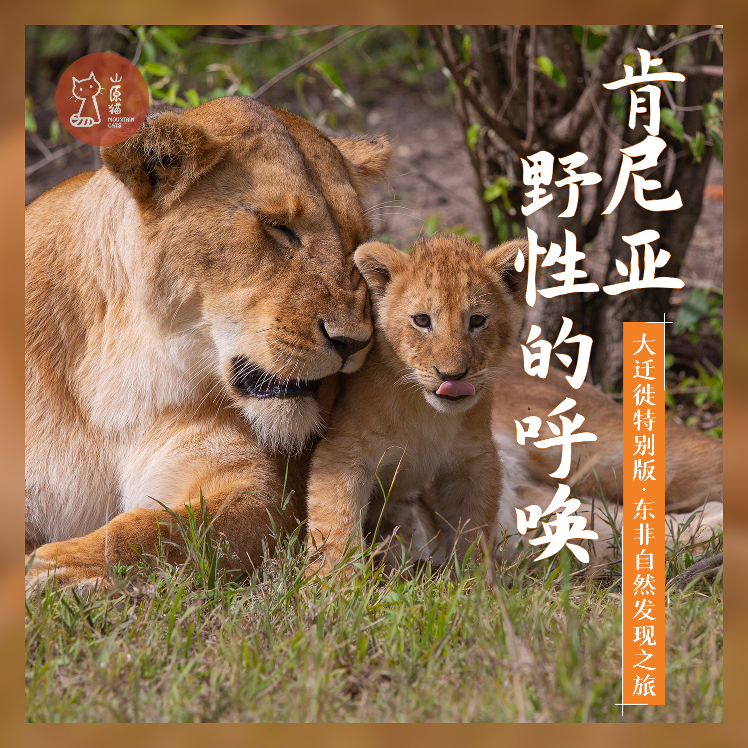 「已成团 · 2026.7.20-7.28 大迁徙特别版」野性的呼唤·东非肯尼亚自然发现之旅