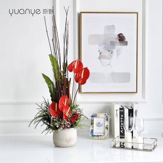 红掌简约瓶花（生日拜年乔迁开业搬家祝寿升职升迁等） 商品图0