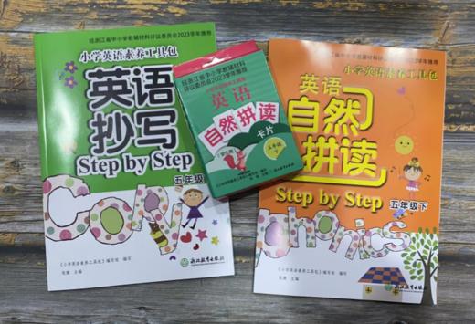 2024小学英语素养工具包三四五年级下册可选自然拼读套装 商品图2