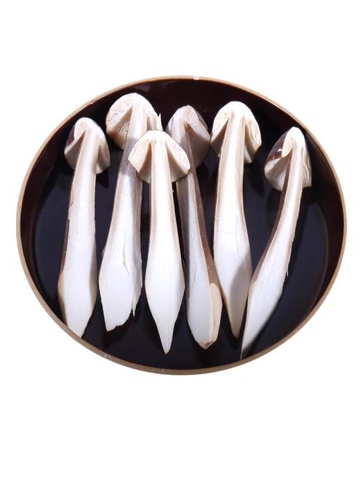 黑皮鸡枞菌 鲜 商品图1