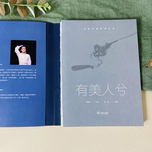 有美人兮(全两册)——单仰萍越剧谈艺录 单仰萍 著 张檀 整理 商务印书馆 商品图3