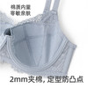 HSIA大胸显小一客慕斯 商品缩略图4