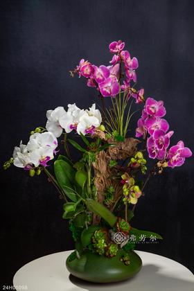 24H01098