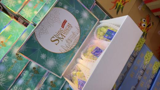 Shine晴王礼盒 商品图2