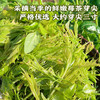 聚天门张家界莓茶 罐装 送礼 商品缩略图4