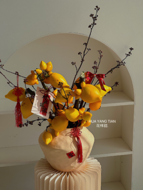 龙年限定  五福临门 · 陶瓷盆花