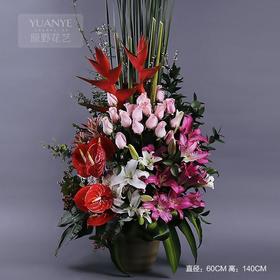 红掌玫瑰百合天堂鸟瓶花（生日拜年乔迁开业搬家祝寿升职升迁等）