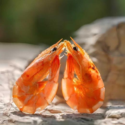 有机盐田烤虾 300g 商品图0