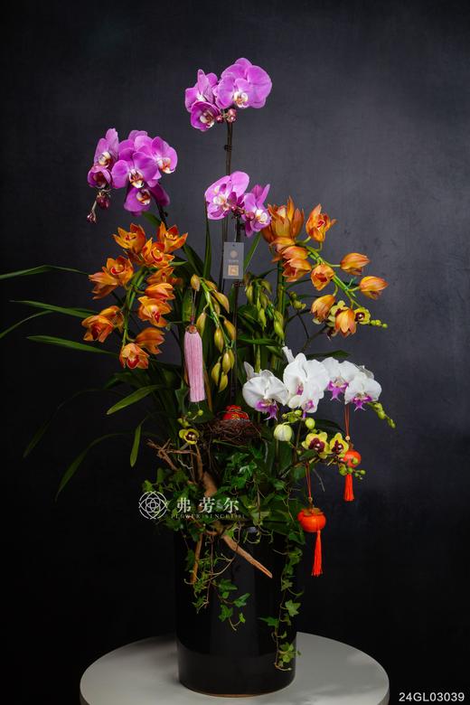 24GL03039 商品图0