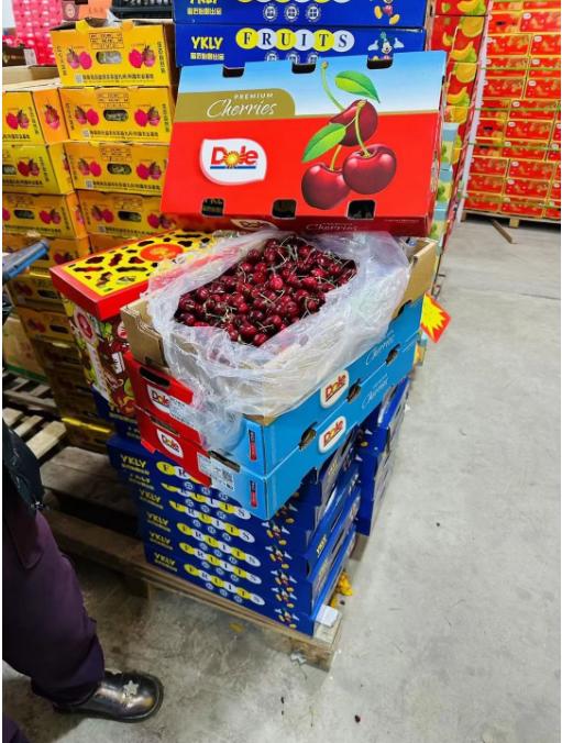 都乐单J车厘子一箱（10斤装） 商品图2