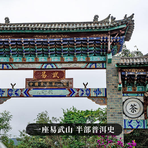 10月21日中午12点【两人团】【黑孔雀】【单饼装】2018年云南易武拼配普洱生茶集齐七村八寨 还原大易武滋味 五年陈化 一飞冲天 内含357g茶 商品图9