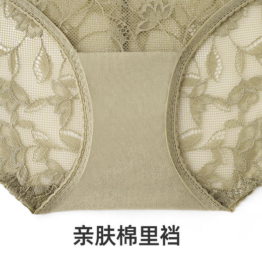 HSIA遐女士内裤蕾丝一杯春茶 商品图4