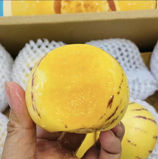 云南人参果 商品图0