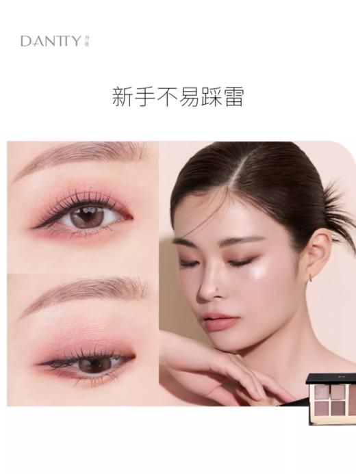 丹帝丛林印象五色眼影02#薄暮/01#大地   （买一送一） 商品图1