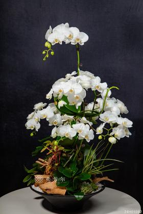 24H01092
