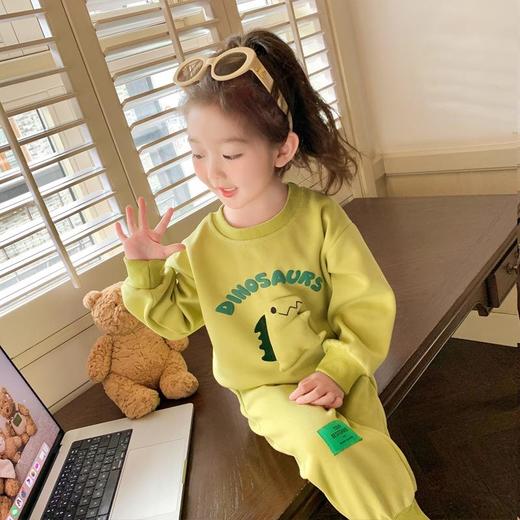 男女童同款恐龙套装2024春季新款韩版两件套洋气休闲童装 商品图0
