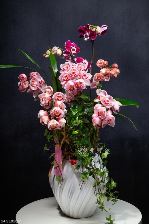 24GL02041 商品图0